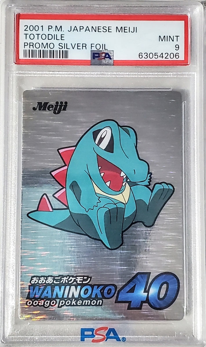Totodile - Silver Rainbow Series reference specimen